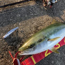 打倒‼️貝塚人工島⁉️