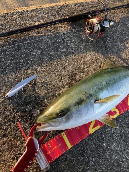 打倒‼️貝塚人工島⁉️