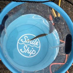 ファミリーフィッシング