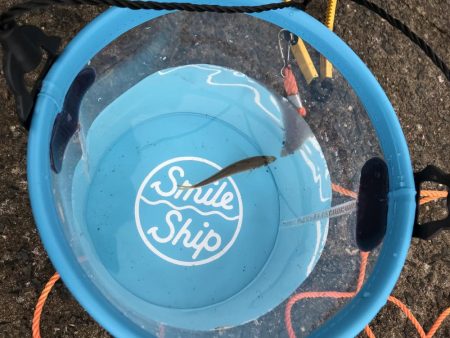 ファミリーフィッシング