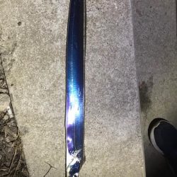 太刀魚リベンジ