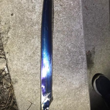 太刀魚リベンジ