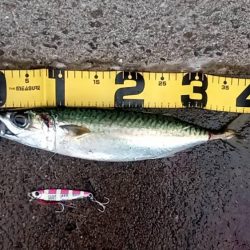 プチsalt water game