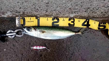 プチsalt water game