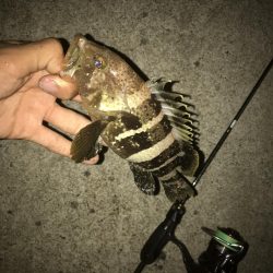 初投稿！釣り歴7年目の中学2年生でぇーす