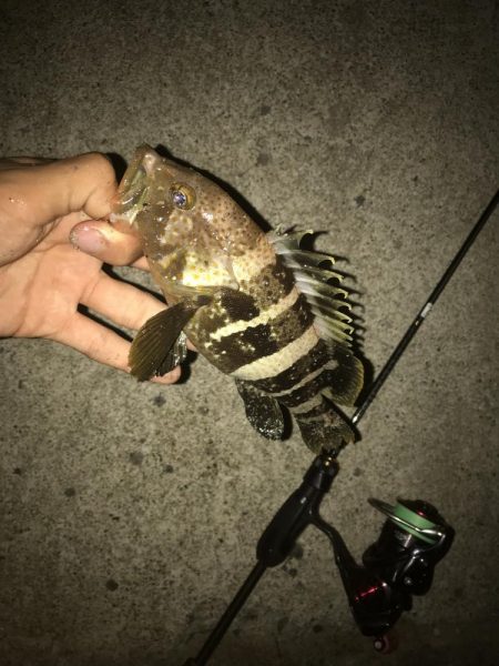 初投稿！釣り歴7年目の中学2年生でぇーす