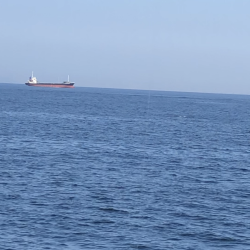 朝マズメはあきませんでした。