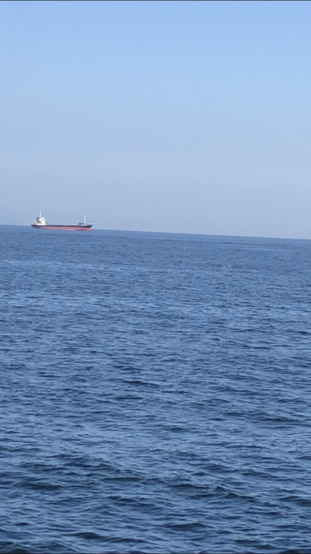 朝マズメはあきませんでした。