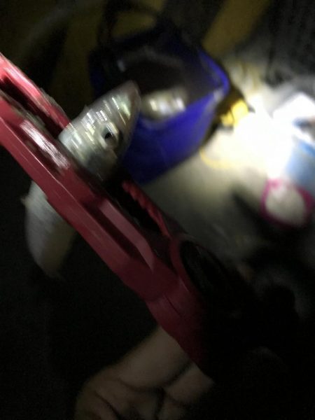 タチウオの数釣りも終わりか？