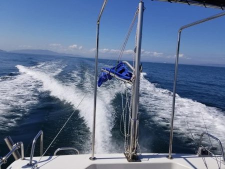 下津井沖の釣果