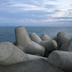 たかたかの釣日記