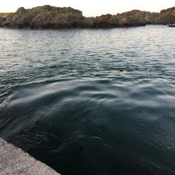 激濁りの夕まずめ