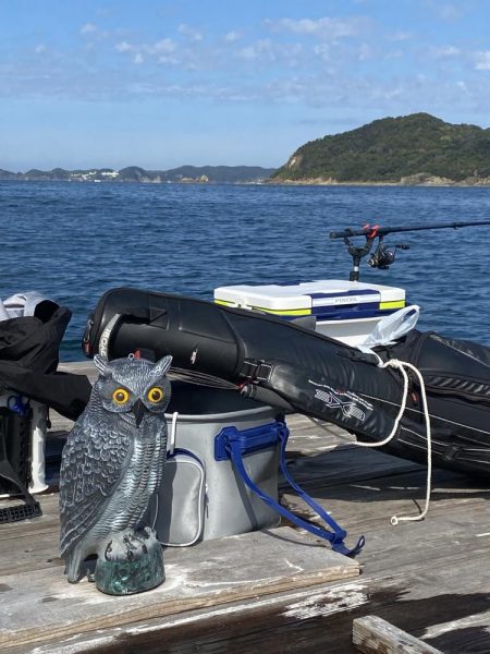 アオリイカとカワハギ狙うも…