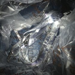 朝マズメのタチウオ 釣り