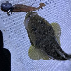 ボートでシーバス&マゴチ