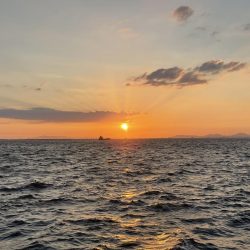 大切なポイント選び！