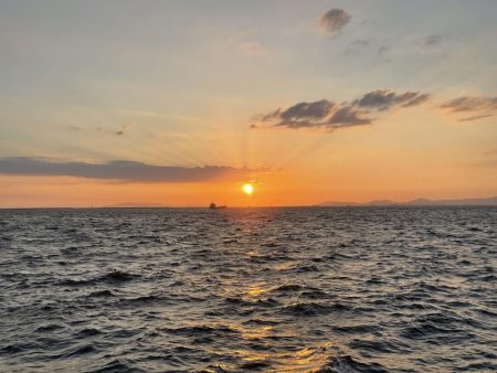 大切なポイント選び！