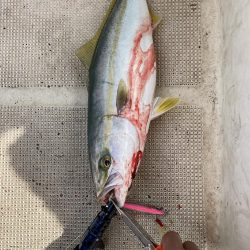 明石沖にてライトジギング