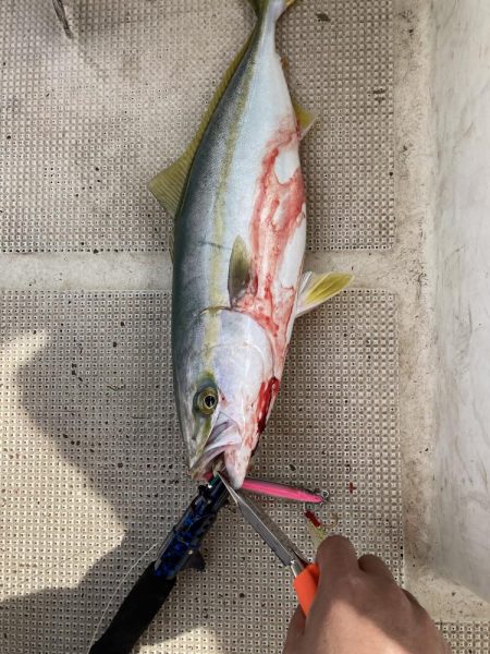 明石沖にてライトジギング