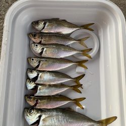 ツ抜けまで後一歩