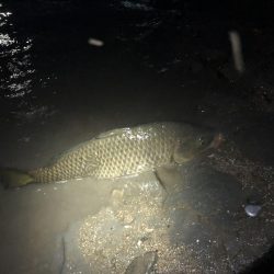 5目釣り…達成?