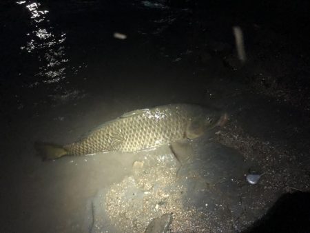 5目釣り…達成?