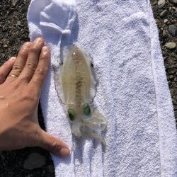 バラエティーな釣り