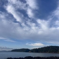 久しぶりのショアからの釣り