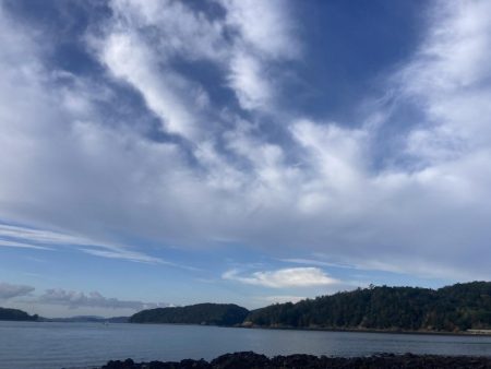 久しぶりのショアからの釣り