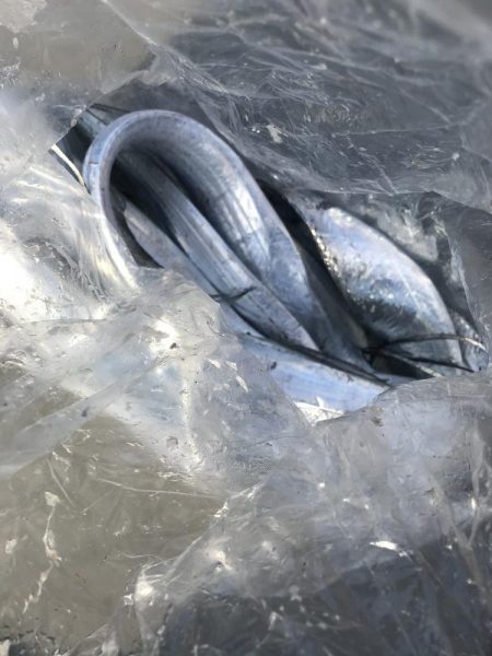 朝マズメの太刀魚釣りで二桁達成