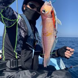 マイボートでアマダイ狙い！