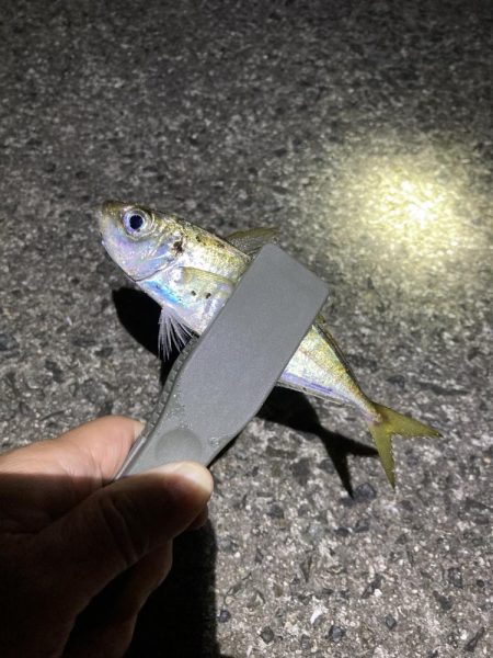 ライトゲーム、アジ・メバル