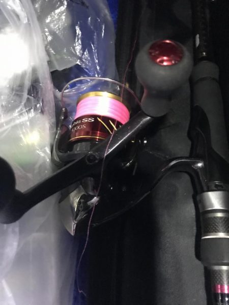 月夜のエギング