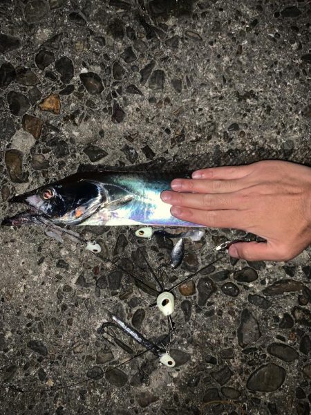 もう夜釣りは激寒です