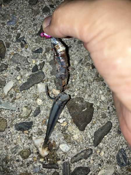 タチウオテンヤ2時間