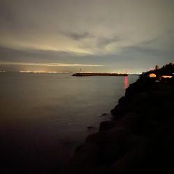 エギングで思わぬサイズ？！