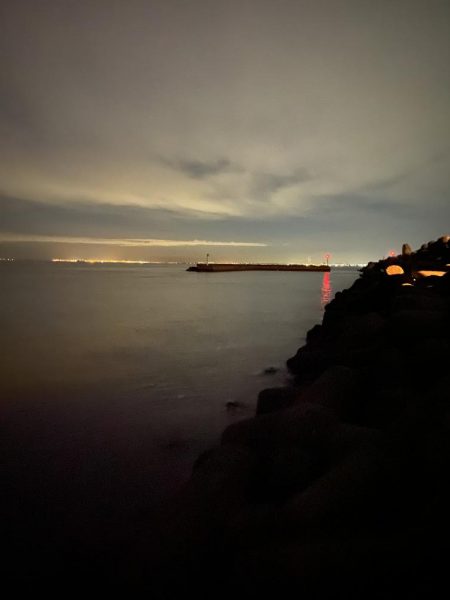 エギングで思わぬサイズ？！