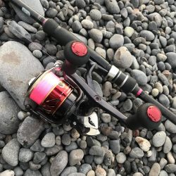 朝マズメのサーフエギング