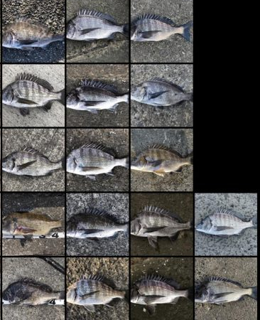 イチノ兄弟、釣果！