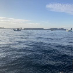 後半は当たりが小さく渋かった!