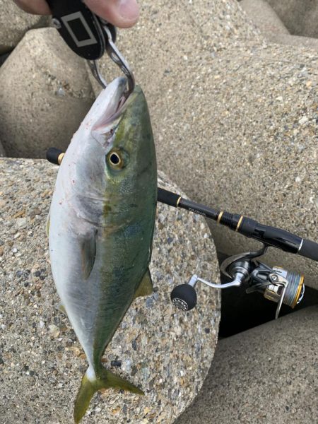 ガハハハハ　ツバス大