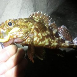 雨が降る前にライトゲーム