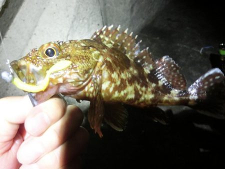 雨が降る前にライトゲーム