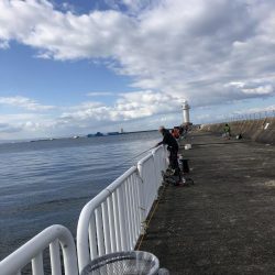 青物との縁は遠い…