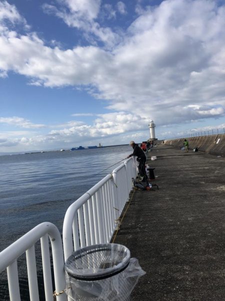 青物との縁は遠い…