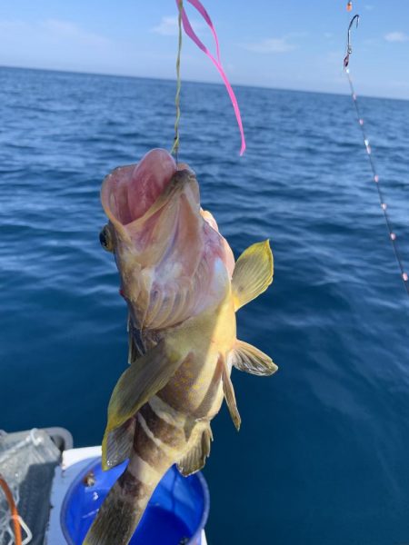 今回もジギングでアマダイ釣り！