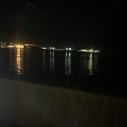 サビキ⭐︎あじ