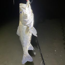 久々の橋脚明暗