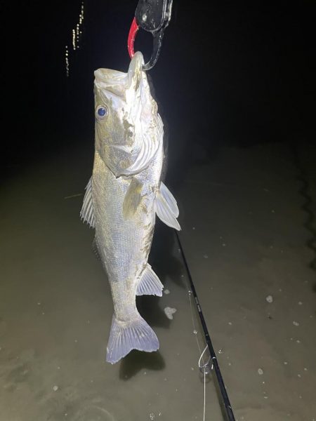 久々の橋脚明暗