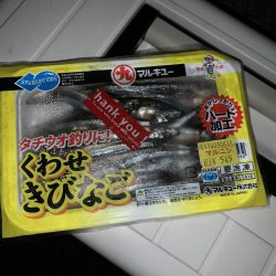 エサに頼ってみたけど……